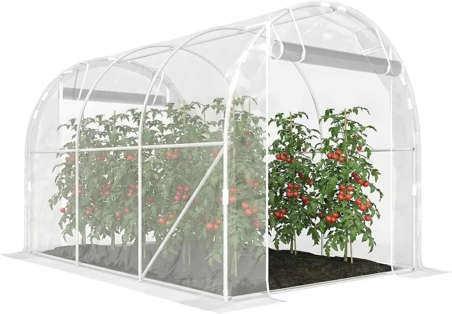 Serre Tunnel de Jardin avec Cadre en Acier et Bâche PE Haute Densité, 6m²